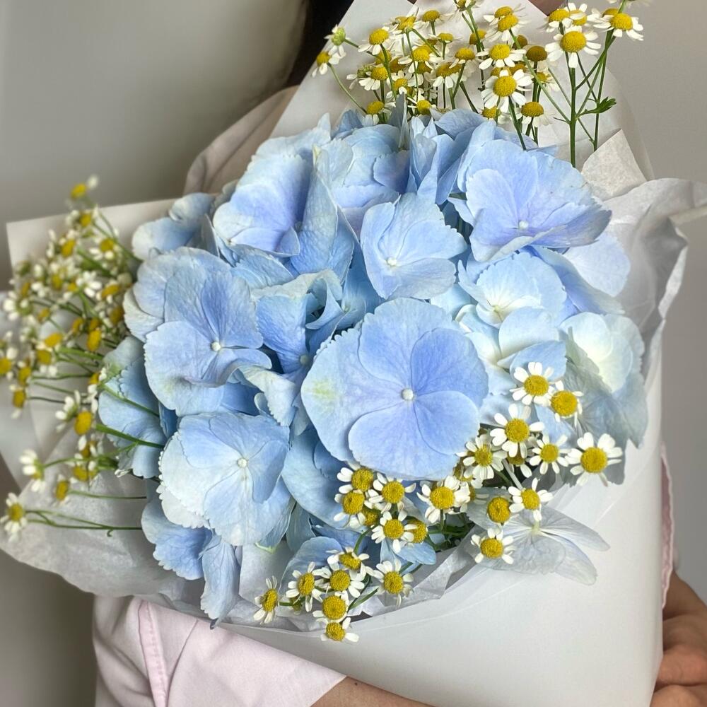 Каролина — изображение 2
